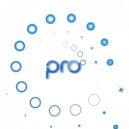 broadcast maidpro pro you 01